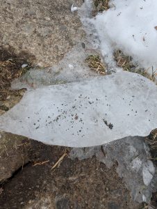 Roof Granules in North Olmsted Ohio
