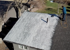Amish Roof Sealer