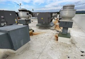 Commercial Roof Maintenance Programs