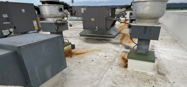 Commercial Roof Maintenance Programs