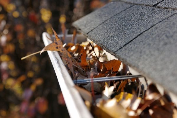 Roof Repairs